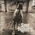 Soul Reborn