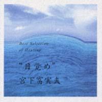 �x�X�g�E�Z���N�V�����E�I�u�E�q�[�����O�`�ڊo��