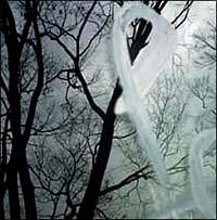 ���߂����̉�