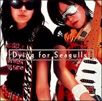 Dying For Seagulls!