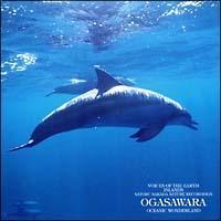 ���c��E���R���V���[�Y �C�m�̓��A���}��