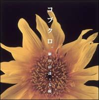 �yMAXI�z�肢�̎�/���z(�}�L�V�V���O��)