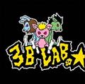 3B LAB.