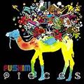 Pieces(ʏ퉿i)