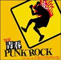 THE t PUNK/ROCK