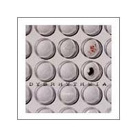 �v���e�X�g