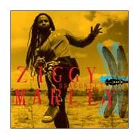 �h���S���t���C