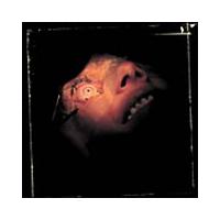 �A�i�g�~�[�E�C�Y�E�f�X�e�B�j�[