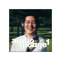 audio sponge 1