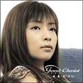 Grand Chariot`̑蕨`