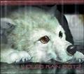 WOLF'S RAIN O.S.T.2