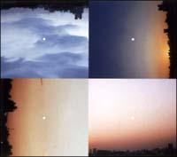 �yMAXI�z�X�^�[�Q�C�U�[(�}�L�V�V���O��)