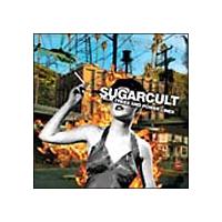 PALM TREES & POWER LINES