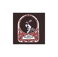 �A�C�E�r���[��