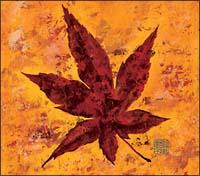 �yMAXI�z�����g�t(�}�L�V�V���O��)