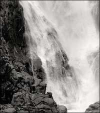 Water Falls-�����鐅-(HYB)