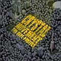 THA DOPE PROJECT