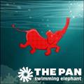 SWIMMING ELEPHANT