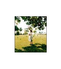 �yMAXI�z���O�̂Ȃ�������グ��(�}�L�V�V���O��)