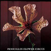 FLOWER CIRCUS(ʏ)