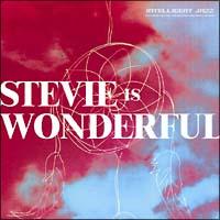 STEVIE IS WONDERFUL