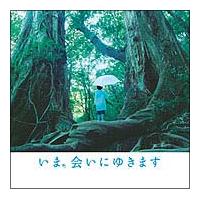 ���܁A��ɂ䂫�܂�