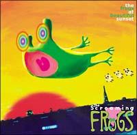 The frogs at beautiful sunset