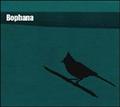 Bophana
