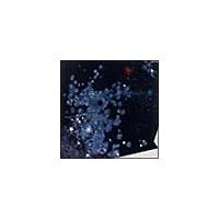 MUSICAL FROM CHAOS 2