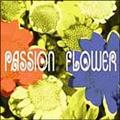 Passion Flower(HYB)