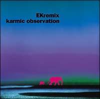 karmic observation