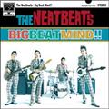 BIG BEAT MIND!!