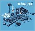 Tribal Mix Vol.2 Mixed By Steve Angello