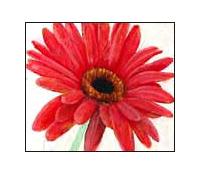 ���̕���