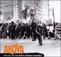 �C���g���f���[�V���O �A�R�� �A�t���r�[�g �A���T���u��