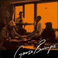 Goose Bumps 2