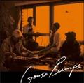 Goose Bumps 2