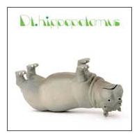 hippopotamaus