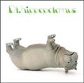 hippopotamaus