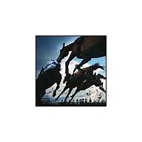 ���̌�������