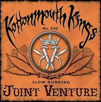 JOINT VENTURE