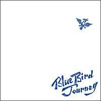 Blue Bird Journey