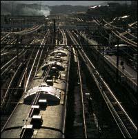 365���̃u���[�X