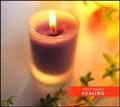 ƂẴ[c@g 8 S[c@g