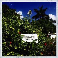 Hemo + Moofire Presents Escape Villa