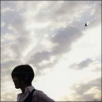 ���C�f�B�A���g