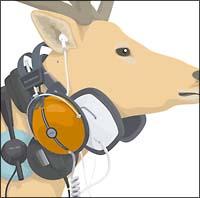 yMAXIzheadphone music(}LVVO)