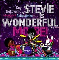 STEVIE IS WONDERFUL MORE!