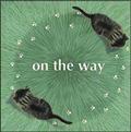 on the way
