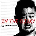 IN THE DIARY